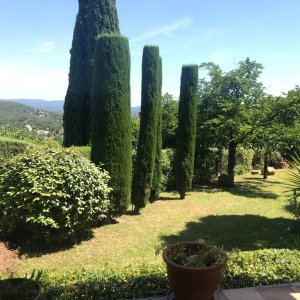 Photo 2 - Élégante Villa en Pays de Fayence - Topiaires dans le jardin