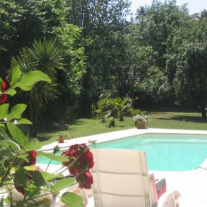 Photo 3 - Pretty Provençal Mas (Swimming pool and Pool house) - 