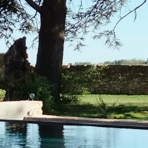 Photo 16 - Jardin avec piscine pour les cocktails et/ou réceptions dans la journée  - 