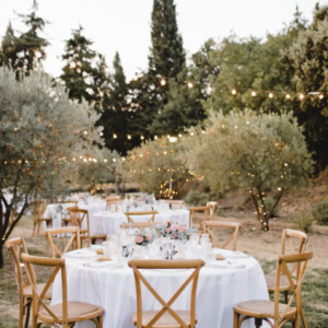 Photo 13 - Bastide du Régent, domaine de mariage en Provence - Dîner dans l'oliveraie