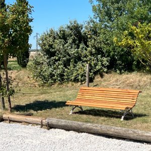 Photo 17 - Estate 30 minutes from Toulouse near the Canal du Midi - Boulodrome 