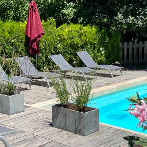 Photo 11 - Estate 30 minutes from Toulouse near the Canal du Midi - Chaises longues Piscine 
