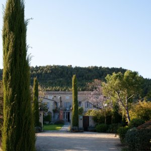 Photo 3 - Maison d'hôtes 400 m2 avec jardin, vue sur Mont Ventoux - allée de cyprès amenant vers l'entrée