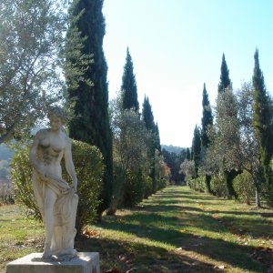 Photo 6 - 19th century bastide with 200m2 terrace, Aix basin, century-old Tuscan cypresses and vineyard - cyprès de Toscane