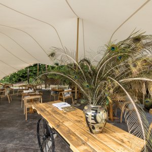 Photo 5 - Restaurant installé sous une tente dans un verger de poiriers à Avignon - La décoration