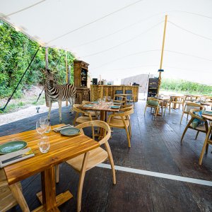Photo 4 - Restaurant installé sous une tente dans un verger de poiriers à Avignon - Les tables