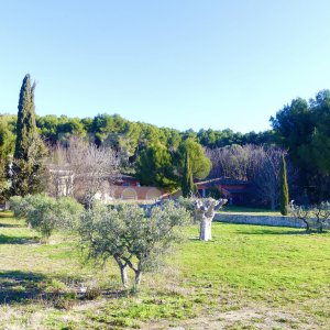 Photo 102 - Domaine privé à 15 minutes d’Aix en Provence  - Espace de nature plat