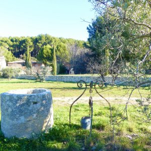 Photo 103 - Domaine privé à 15 minutes d’Aix en Provence  - Espace de nature plat