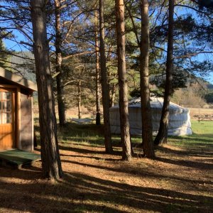 Photo 29 - Chalet and yurt nature area - La forêt