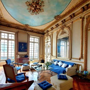 Photo 1 - Historic apartment 18th century - Salon Versailles décoré de boiseries dorées des muses coté Saône 