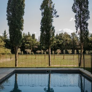 Photo 5 - Mas provençal avec services et piscine - Piscine et prairie