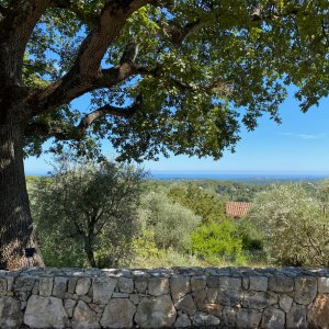 Photo 39 - Maison Familiale Provençale - Grande Piscine - Vue Mer - Magnifiques vues sur la campagne environnante