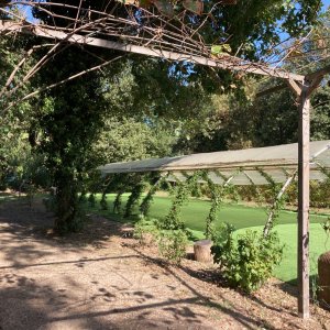 Photo 9 - Espace aménagé pour les réceptions au cœur du Jardin de la Piboule, golfe de Saint-Tropez - 