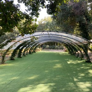Photo 10 - Espace aménagé pour les réceptions au cœur du Jardin de la Piboule, golfe de Saint-Tropez - 