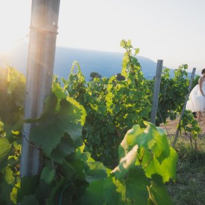 Photo 12 - Magnifique domaine viticole avec une vue panoramique sur les Alpes et la mer Méditerranée - 