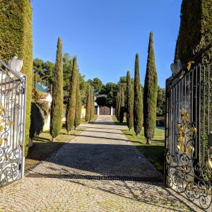 Photo 5 - Stunning Florentine Villa - 