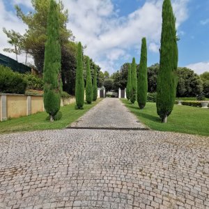Photo 16 - Superbe villa florentine - 
