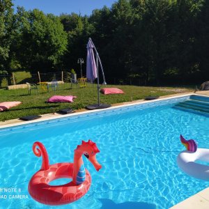 Photo 18 - Estate with swimming pool and large park not overlooked - La piscine 5 x 10 m