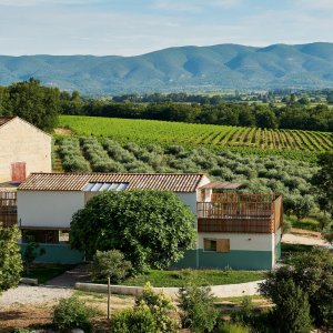 Photo 32 - Domaine viticole contemporain et écologique  - 