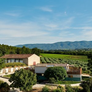 Photo 33 - Domaine viticole contemporain et écologique  - 