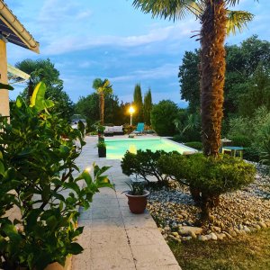 Photo 1 - Domaine avec piscine au coeur d'une végétation luxuriante  - La piscine et la végétation