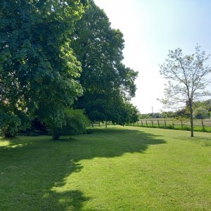 Photo 4 - Longère avec 10 000 m² de champ et verger  - Grand terrain pelouse arboré
