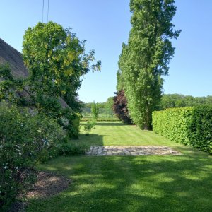 Photo 8 - Longère with 10,000 m² of field and orchard - Arrière de la maison et peupliers