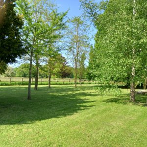 Photo 5 - Longère avec 10 000 m² de champ et verger  - Grand terrain pelouse arboré