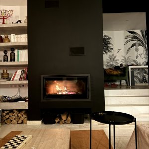 Photo 31 - Villa moderne avec jardin d'hiver exotique - Fireplace
