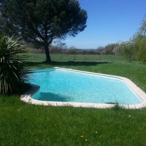 Photo 2 - Bucolic setting with swimming pool - La piscine
