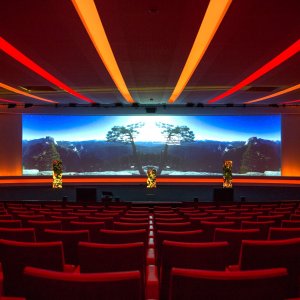 Photo 0 - Auditorium - Un écran large