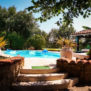 Photo 7 - Villa MAS GUAPA dans le TARN Albigeois + SPA - La piscine
