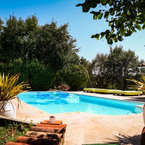 Photo 2 - Villa MAS GUAPA dans le TARN Albigeois + SPA - La piscine