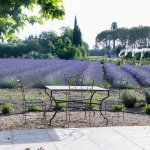 Photo 4 - Bastide with swimming pool in lavender - Les lavandes