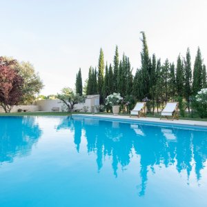 Photo 27 - Bastide with swimming pool in lavender - La piscine