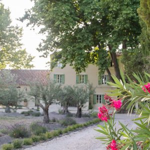Photo 15 - Bastide with swimming pool in lavender - La maison