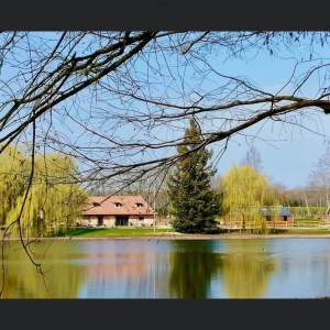 Photo 4 - Maison, terrasse et jardin en bord d’étang au sud de la Bourgogne  - L'étang