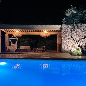 Photo 13 - Bastide provençale avec piscine et son oliveraie - Espace piscine de 300 m², terrasse de 180 m2, poolhouse avec espace salon