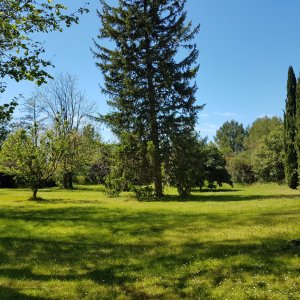 Photo 6 - Bastide with swimming pool and large park - Le parc