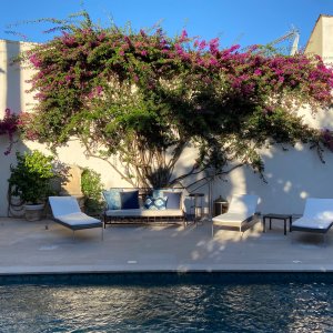 Photo 4 - Exquise villa cannoise nichée dans un parc privé à quelques pas de la Croisette - Oasis de bonheur avec sérénité au bord de la piscine