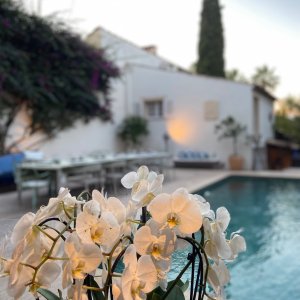 Photo 8 - Exquisite Cannes Villa Nestled in Private Park Short Walk from La Croisette - La piscine au crépuscule