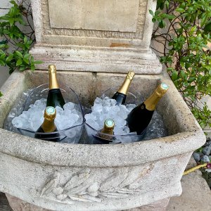 Photo 6 - Exquisite Cannes Villa Nestled in Private Park Short Walk from La Croisette - Refroidisseur de champagne dans la fontaine