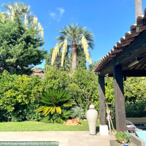 Photo 27 - Exquisite Cannes Villa Nestled in Private Park Short Walk from La Croisette - Jardin privé et isolé