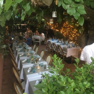 Photo 0 - Superbe Restaurant jardin au cœur de Saint Tropez  - Le jardin