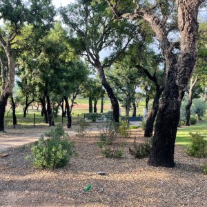 Photo 23 - Golfe de St Tropez Villa provençale  entre les vignobles des châteaux St Maur et  Châteaux  St Marc  - stationnement avant