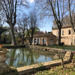 Photo 0 - Arles, Jardins et salles d’exceptions autour d’un bassin - Le domaine