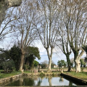 Photo 4 - Arles, Jardins et salles d’exceptions autour d’un bassin - Parc avec bassin