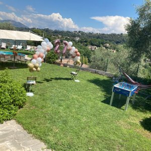 Photo 11 - Garden with swimming pool and view of St Paul and the hills of Vence - Espace vert
