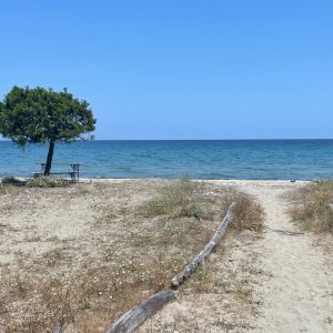 Photo 1 - Bar-Lounge & Terrasse vue mer - La plage de sable fin et eau turquoise à 30 mètres