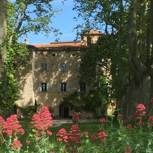 Photo 2 - Family castle in exceptional wine estate - Le domaine et le parc
